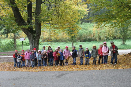 wandern zum wald